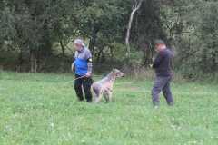 k-IMG_2246