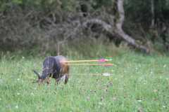 k-IMG_2247