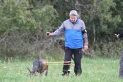 k-IMG_2250