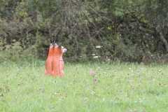 k-IMG_2269