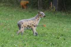 k-IMG_2334