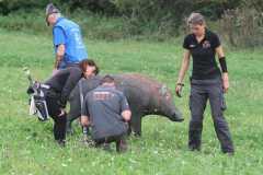 k-IMG_2388