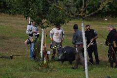 IMG-20230930-WA0025