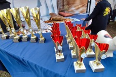 IMG_20241006_143729
