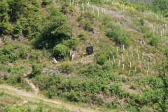 DSC09067