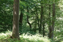 DSC09120