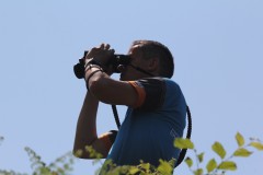 IMG_0174