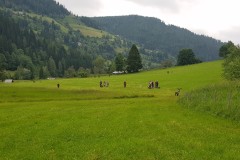 20240625_093641