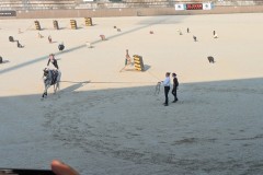 IMG-20260629-WA0022