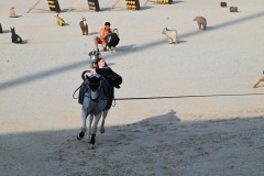 IMG-20260630-WA0019