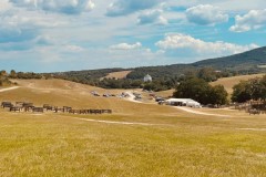 IMG-20260705-WA0013