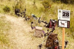 IMG-20260705-WA0016