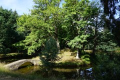 DSC08308