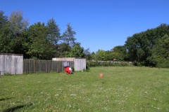 IMG_5992