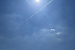320
